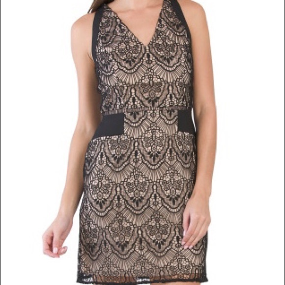 Adrianna Papell scalloped lace A-line dress - Picture 1 of 2